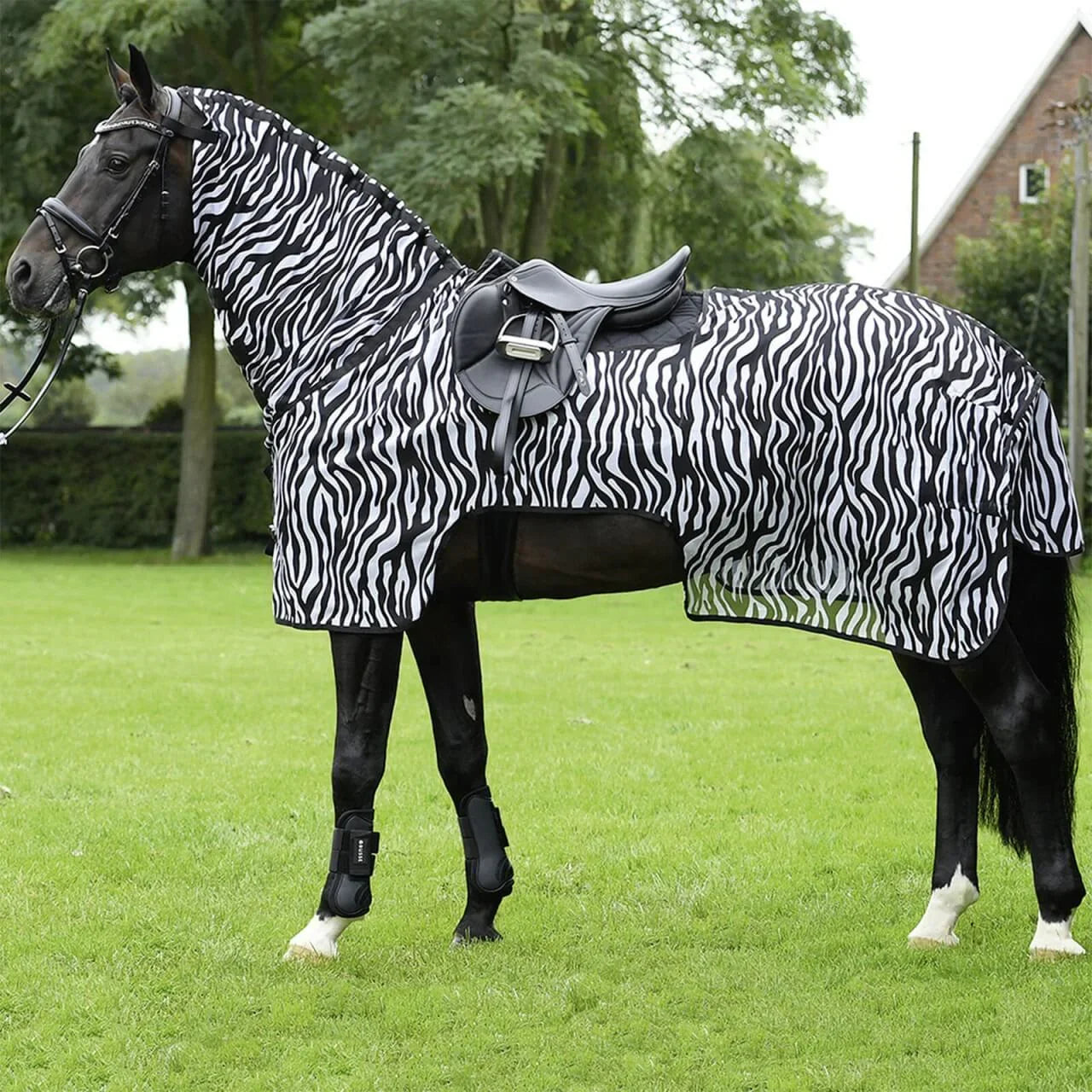 Schwarzes Pferd mit Zebra-Fliegendecke, Sattel und Gamaschen auf der Wiese, Must-Haves für den Frühjahrs-Ausritt – Unsere Lieblingsprodukte im Mai!
