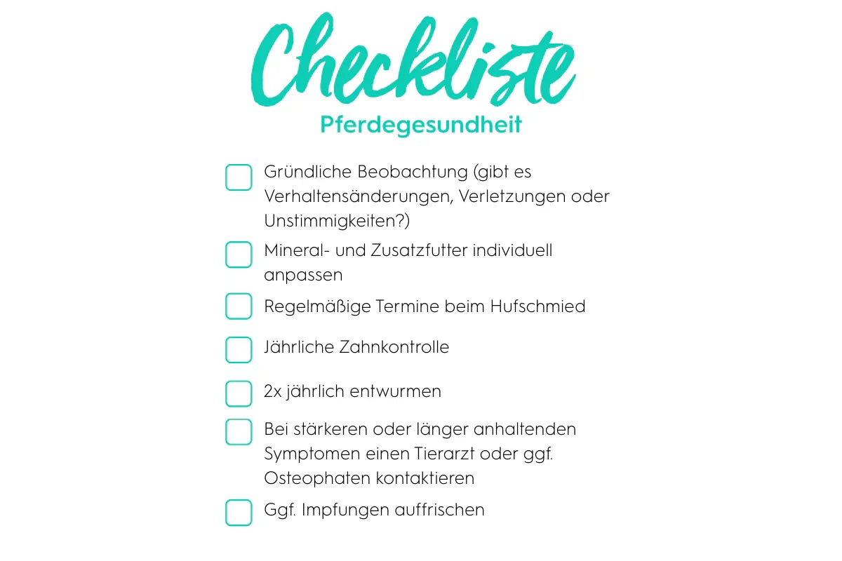 Checkliste Pferdegesundheit mit Kontrollpunkten, Gesundheitscheck beim Pferd