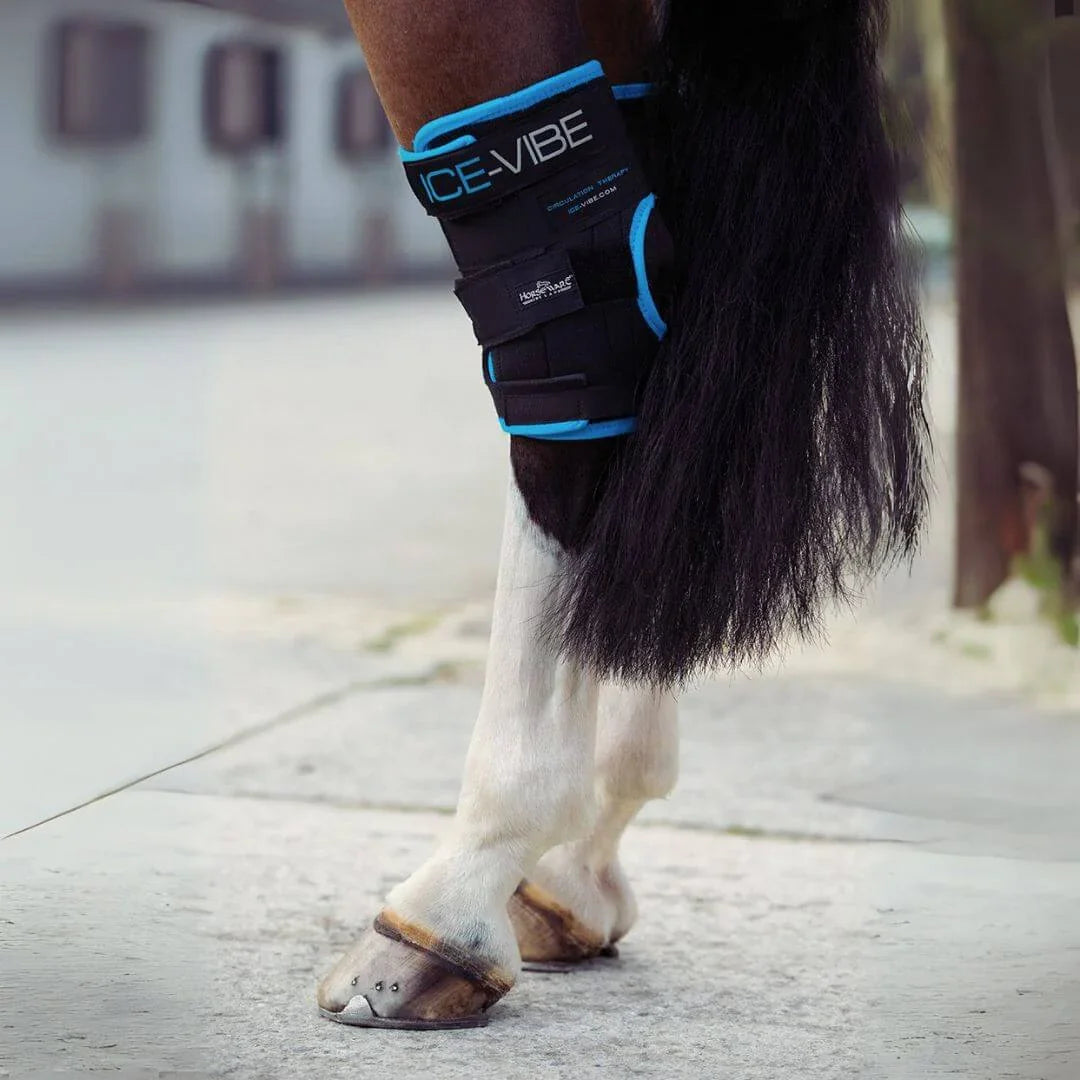 Pferdebein mit ICE-VIBE Gamasche und Hufglocke, Ice-Vibe Boots im Detail – So unterstützen sie die Gesundheit deines Pferdes.