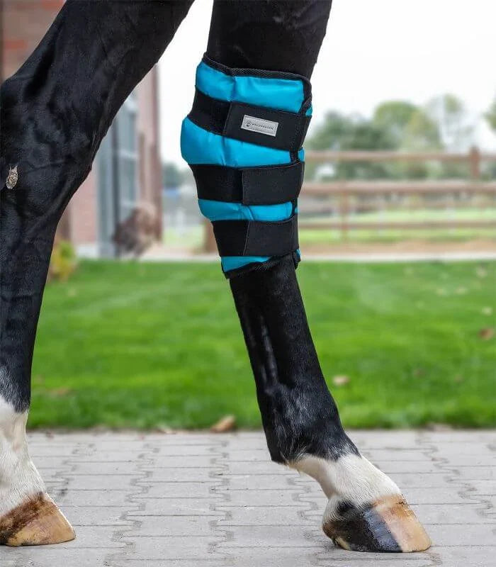 Pferdebein mit blauer Gamasche, W-Health and Care - #WALDHAUSEN