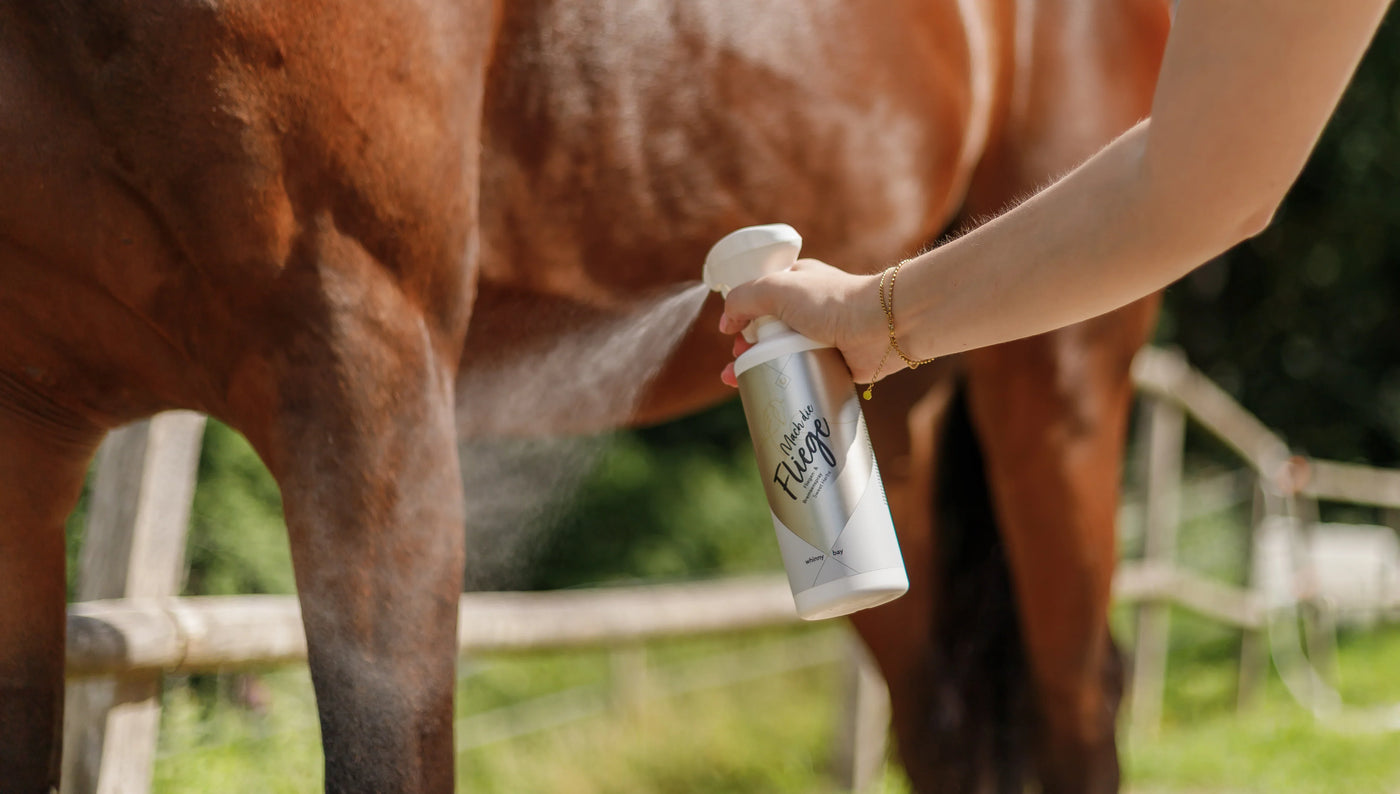 Person sprüht ein Pferd mit Insektenschutz ein, Fliegenschutz für dein Pferd: Die besten Lösungen für Sommer, Weide & Stall.