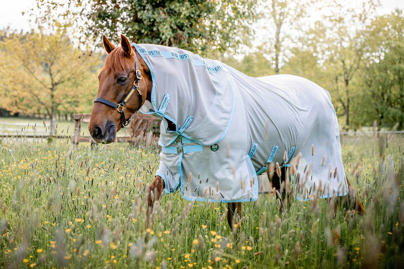 Braunes Pferd mit Fliegendecke auf einer Wiese, Save the Earth - wie Nachhaltigkeit den Reitsport prägt
