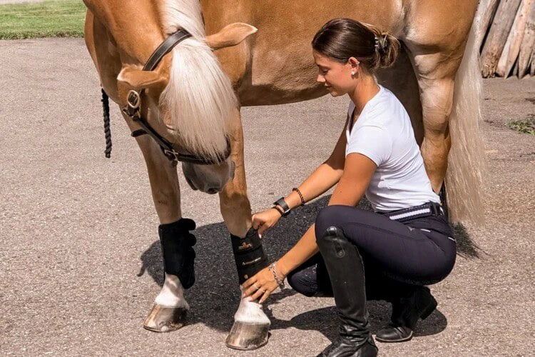 Reiterin legt einem Pferd schwarze Gamaschen an, Kentucky Horsewear EVENTING BOOTS | Mein Fazit