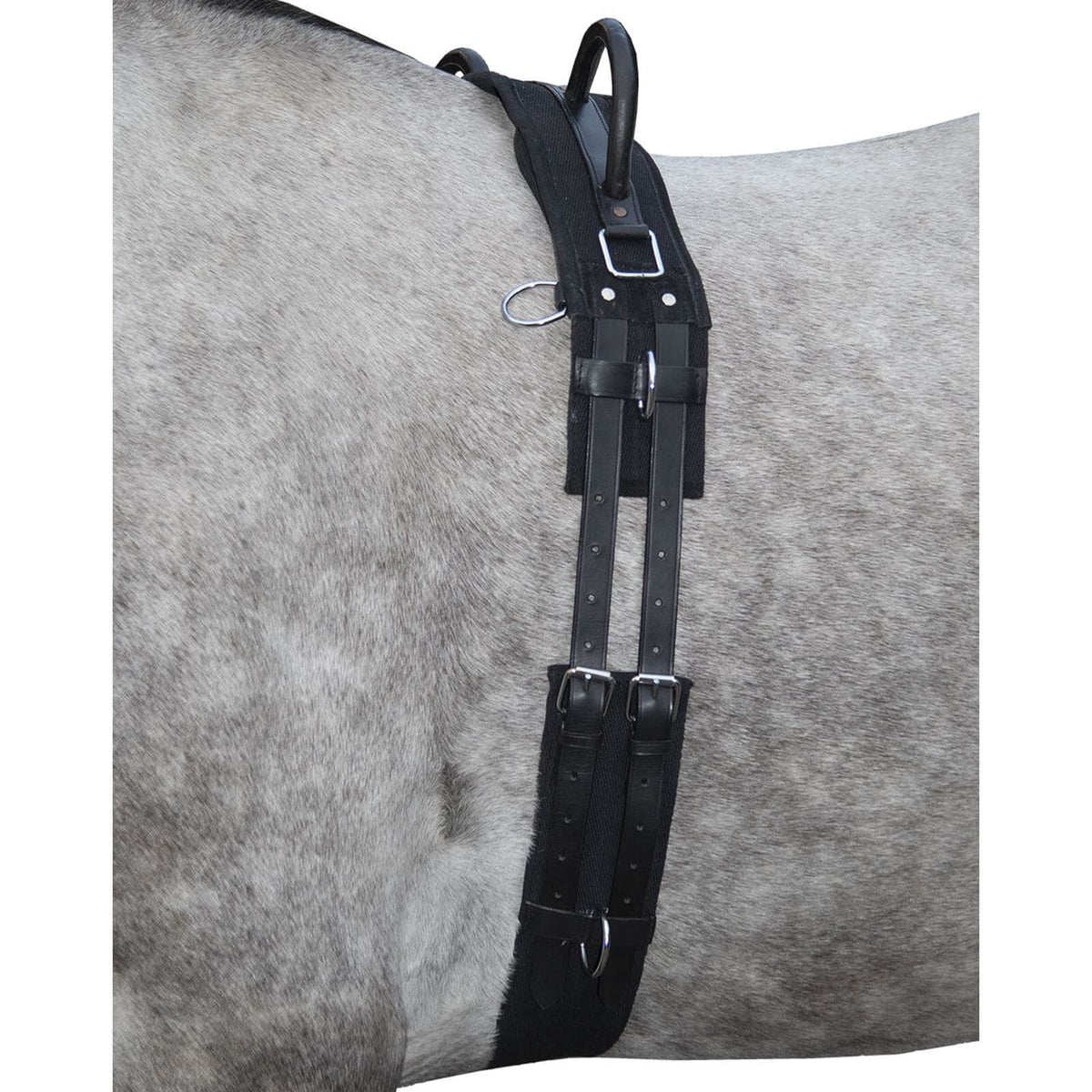 HKM Longiergurt mit Doppelgriff Canvas, Schwarz, am Pferd angelegt.
