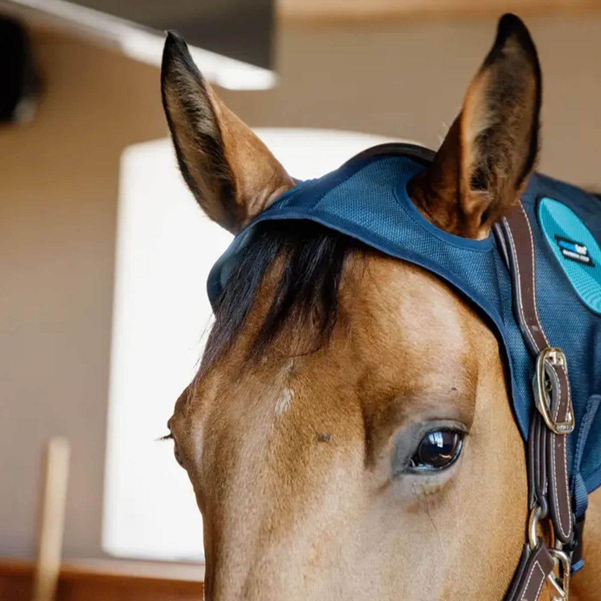 Kentucky Horsewear Magnet Genick Schutz Recuptex Magnetic Neck Protector, Blue, Pferd trägt das Produkt.