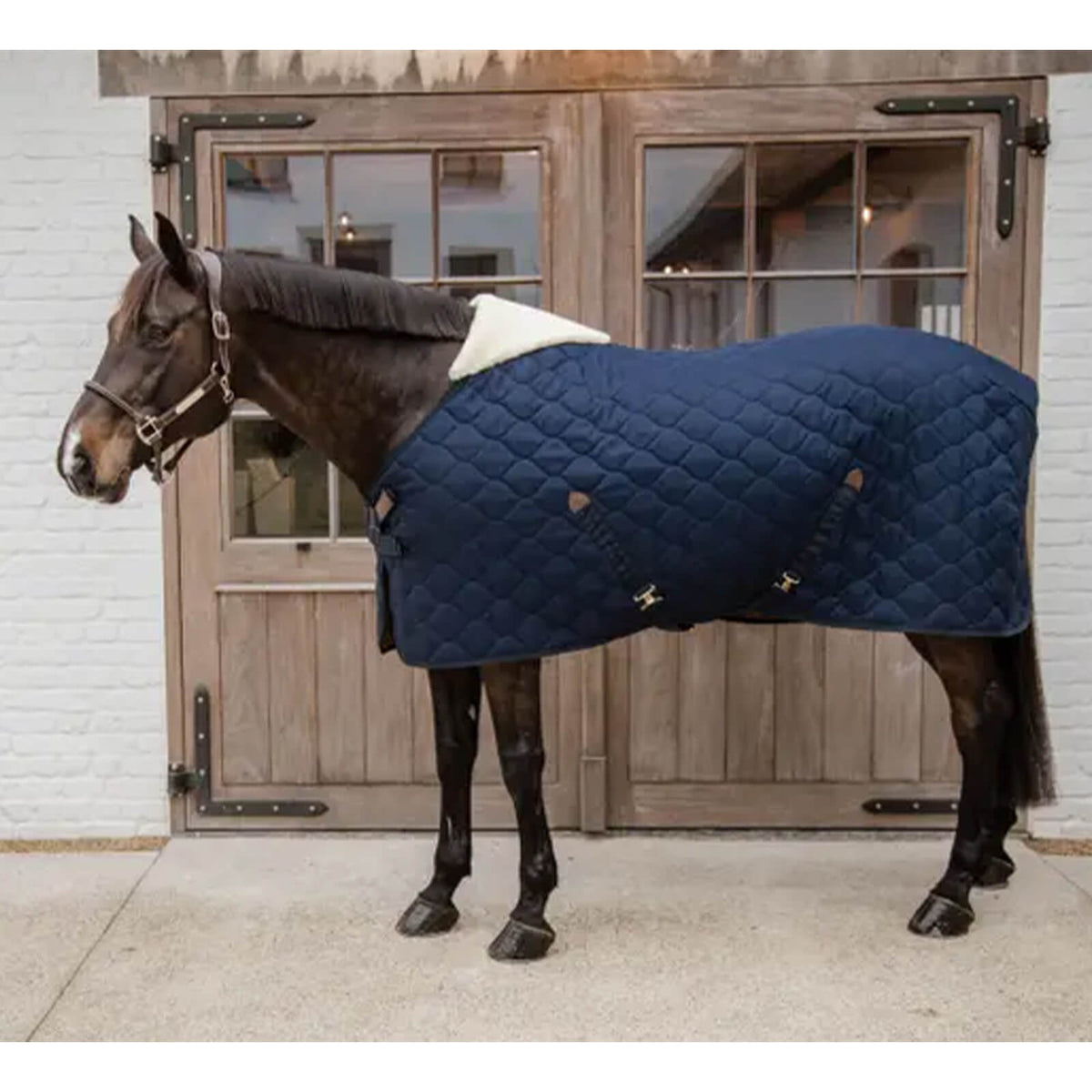 Kentucky Horsewear Stalldecke 100g Comfort Winterdecke, dunkelblau, Pferd mit Decke vor Holztür.