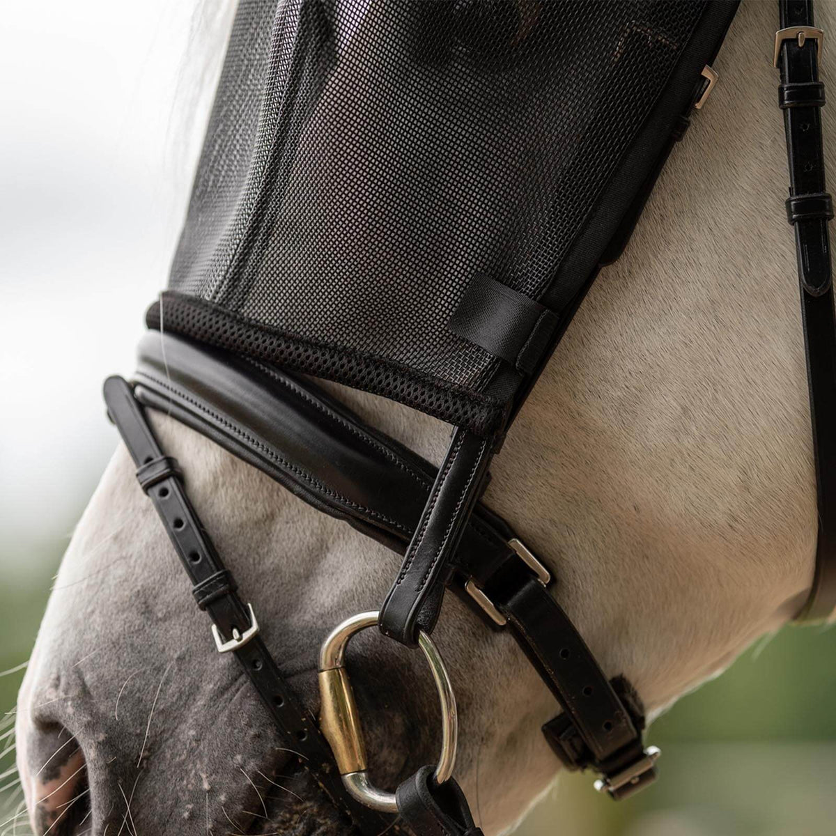 BUSSE Fliegenmaske Riding Fliegenschutz, Schwarz, Detailaufnahme an einem Pferd.