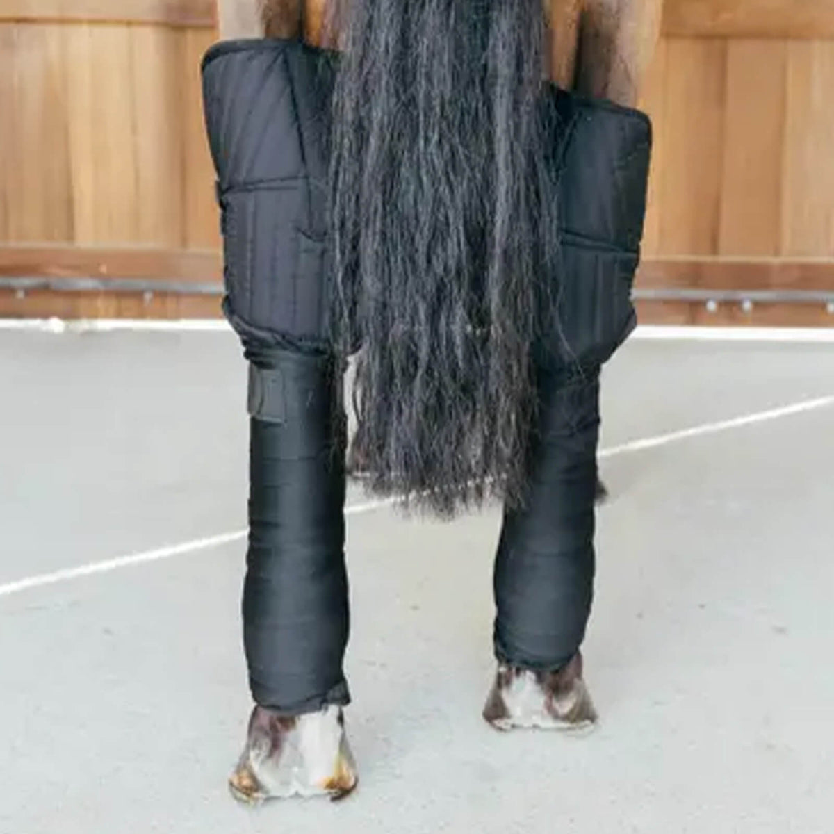 Kentucky Horsewear Transport- und Stallbandagierunterlagen mit Sprunggelenkschutz Transportgamaschen, Schwarz, am Pferd getragen.