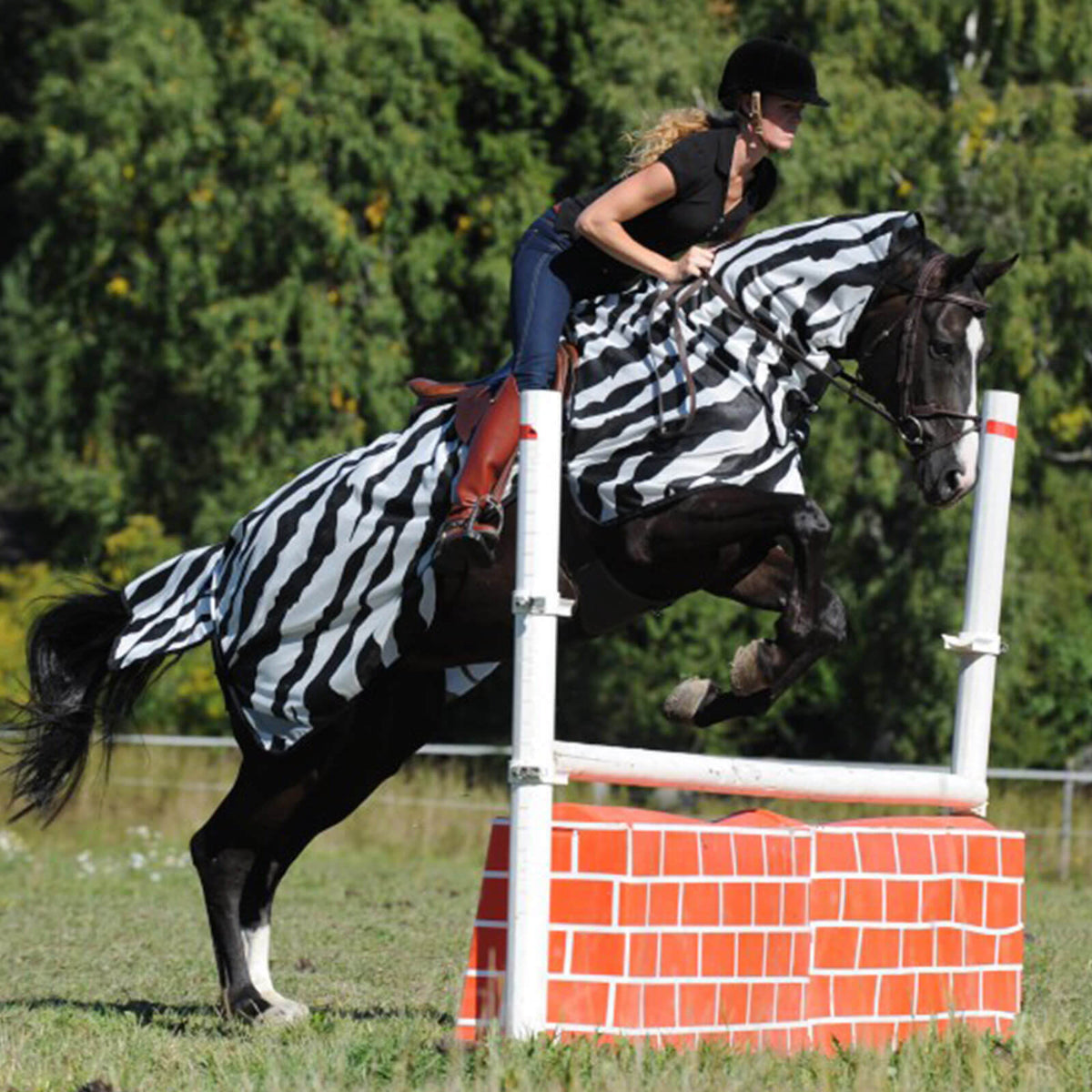 Fliegen Ausreitdecke Buzz-Off Riding Zebra