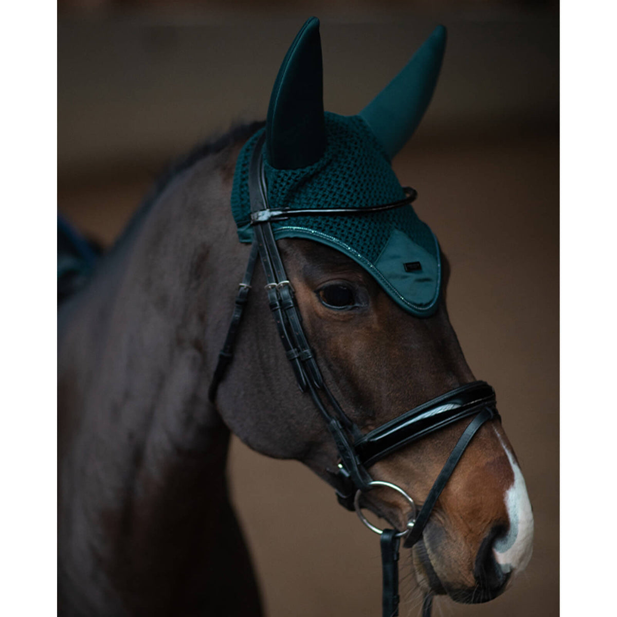 Fliegenhaube Modern Dramatic Monday Fliegenmütze, dramatisches Grün, Pferd trägt die Fliegenhaube mit Trense.