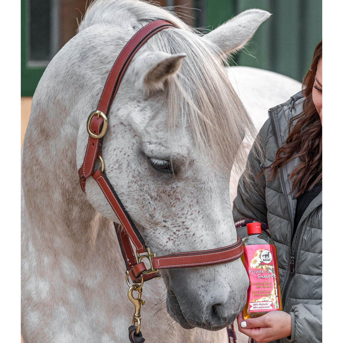 leovet Pferdeshampoo Power Shampoo Kamille, 500 ml, Person hält die Flasche neben einem Pferd.