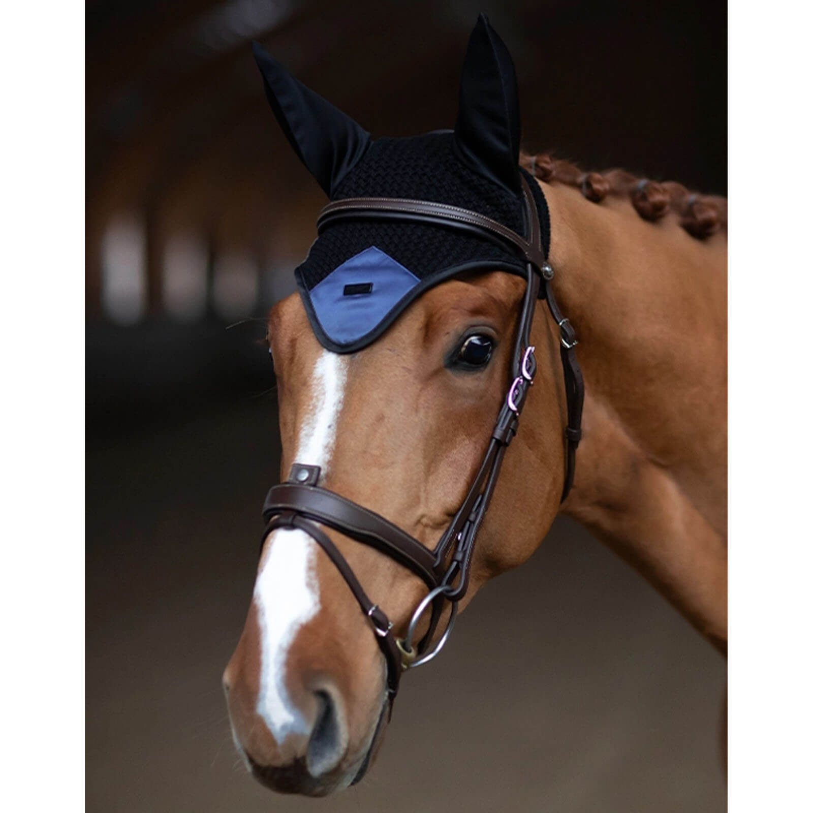 Fliegenmütze Ear Bonnet Sportive Dark Venice