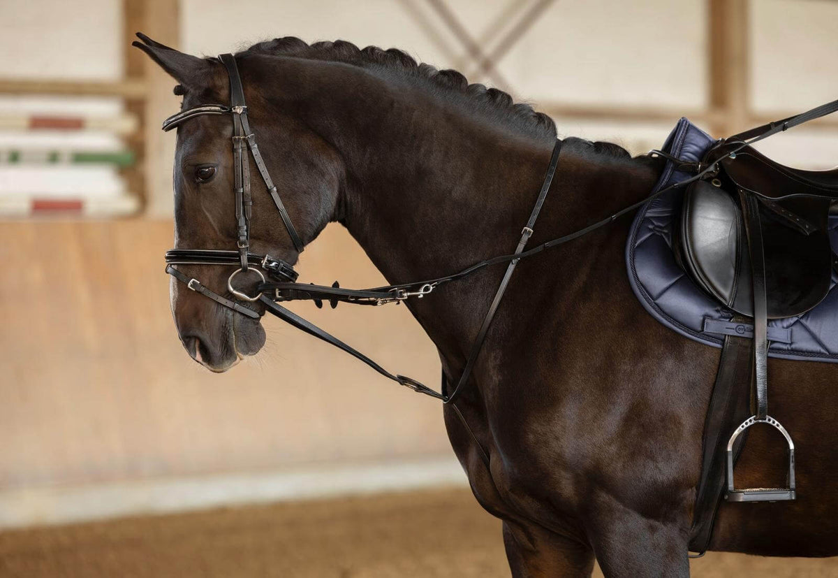 Covalliero Thiedemannzügel Hilfszügel, dunkle Ausführung, am Pferd im Reittraining.
