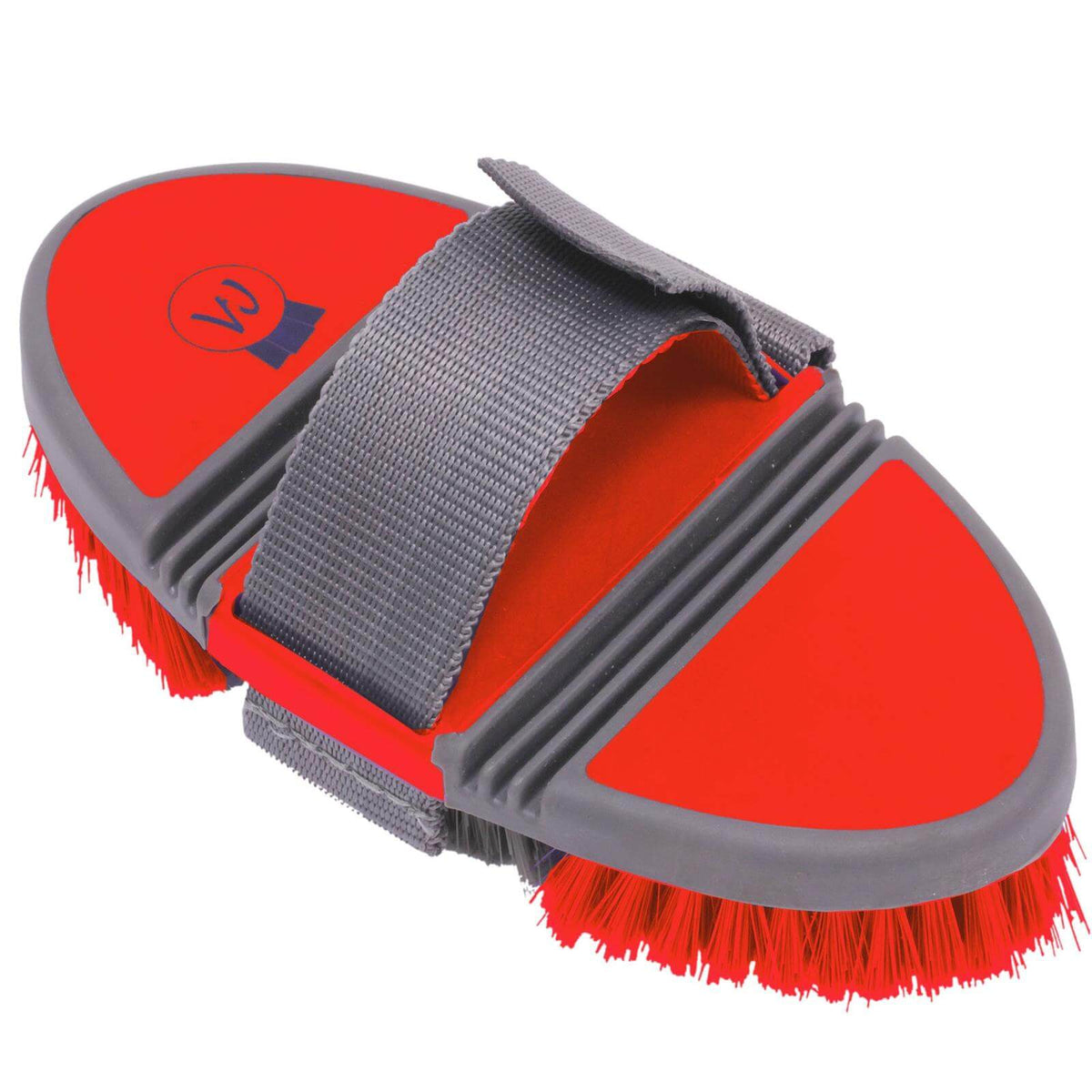 Flexi Kardätsche