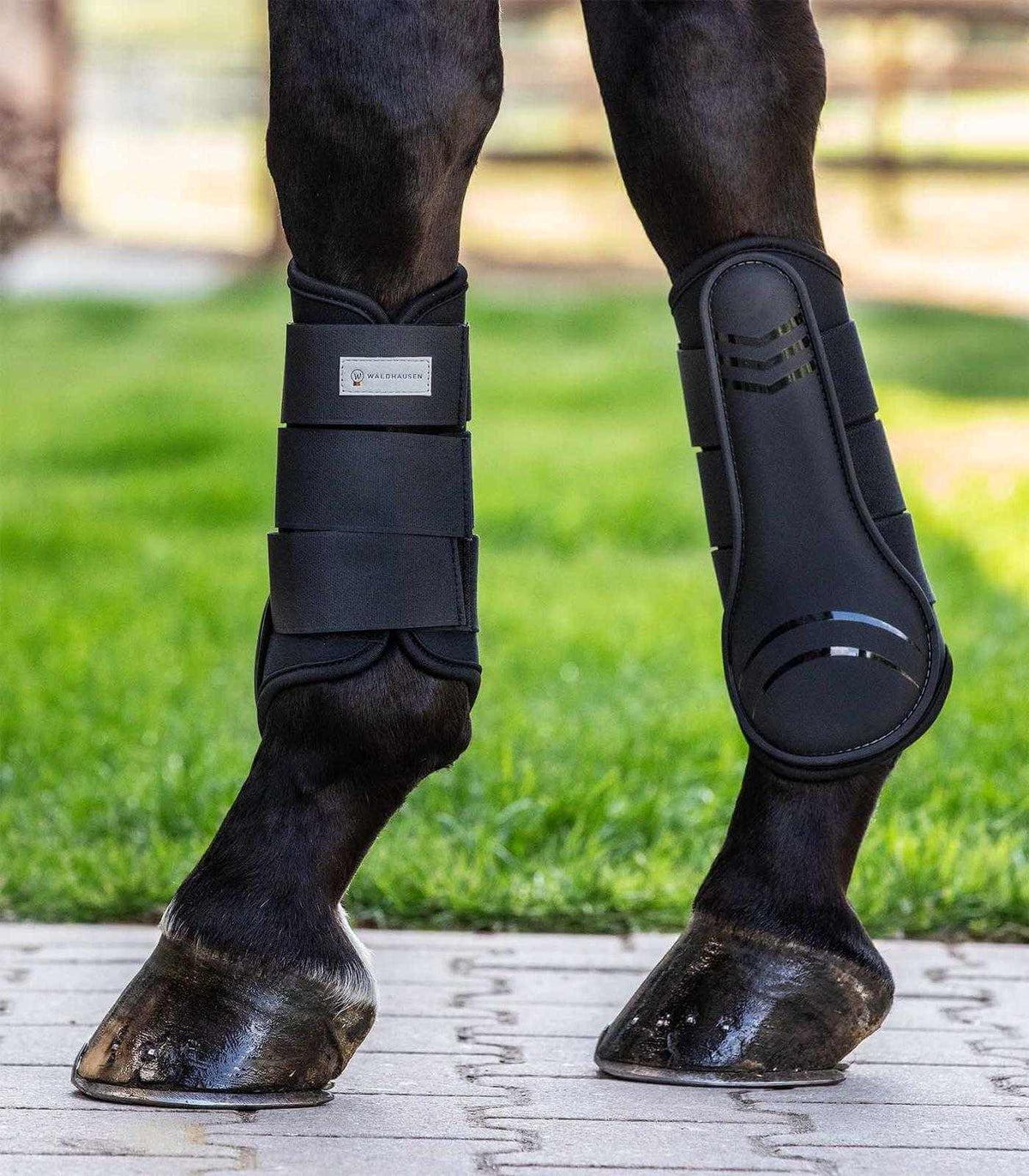 Waldhausen Gamasche Basic Plus, Schwarz, an Pferdebeinen getragen.