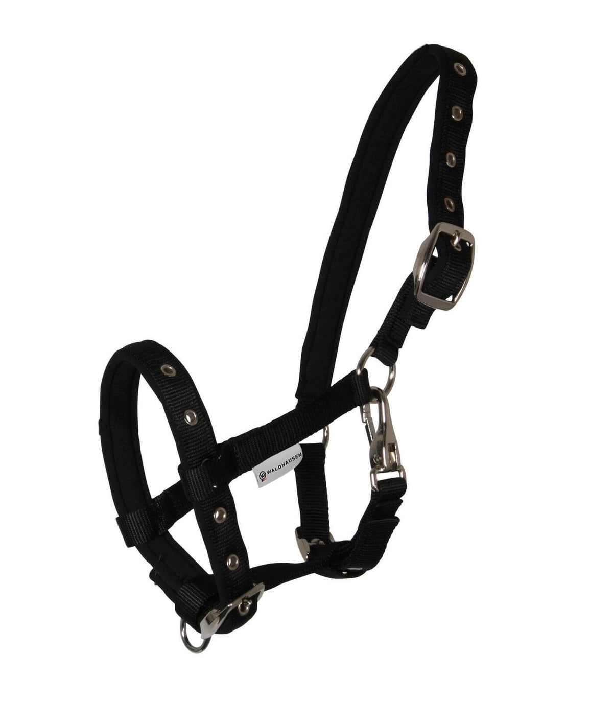 Foal Halter Comfort