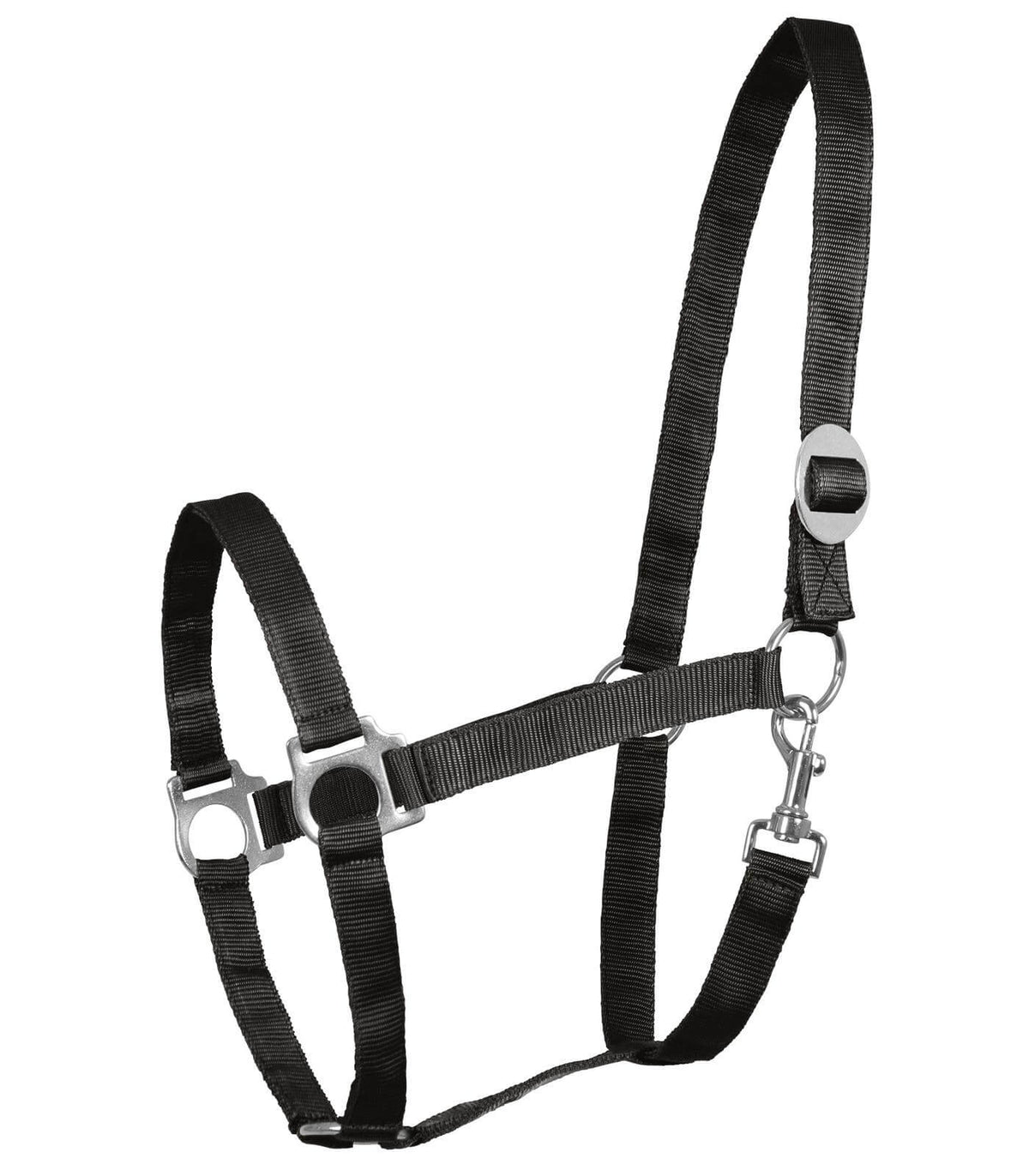 Waldhausen Perlonhalfter Schwarz, Produkt allein auf weißem Hintergrund.