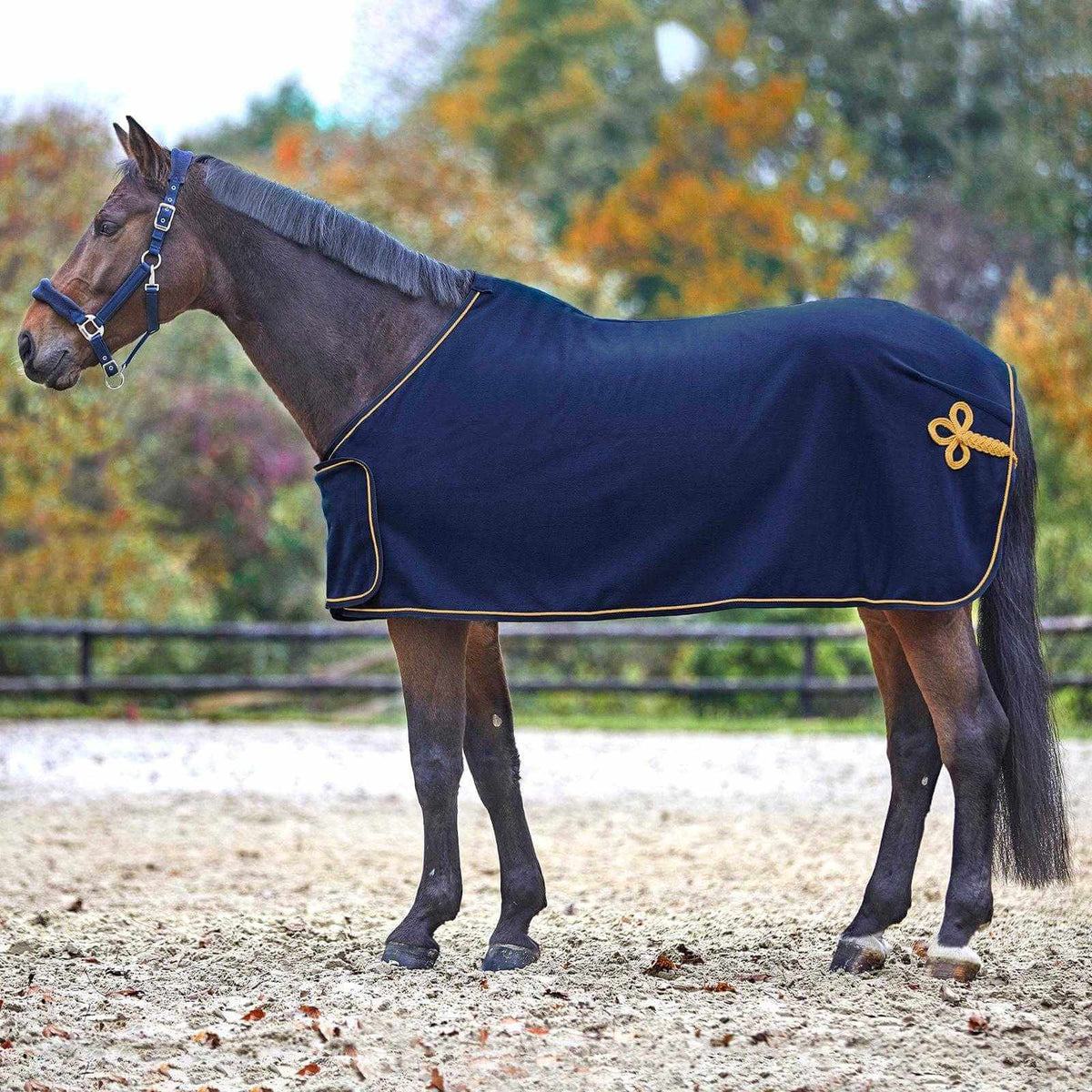 Waldhausen Fleece- und Sponsordecke, Blau/Gold, Pferd trägt die Decke im Außenbereich.