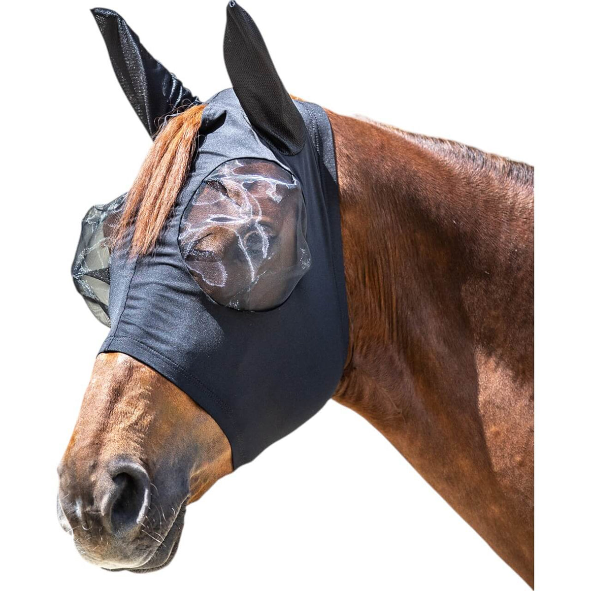 Waldhausen Fliegenmaske PUCK Fly Mask, Schwarz, am Pferdekopf getragen.