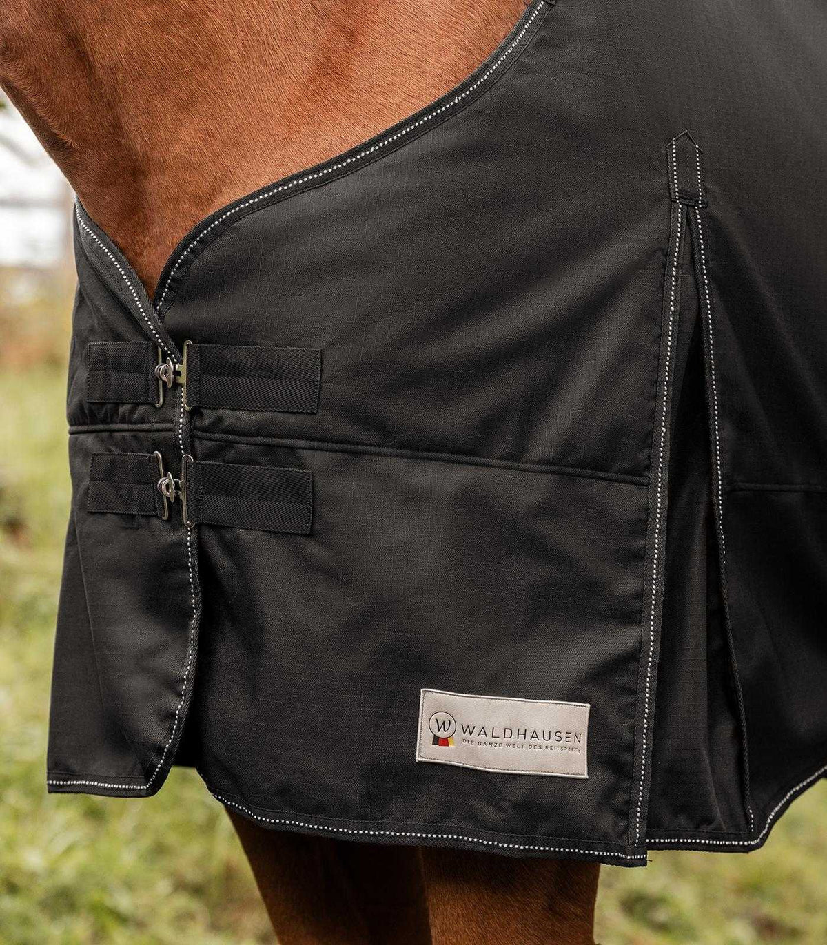 Waldhausen Outdoordecke 50g Nordic Weidedecke, Schwarz, am Pferd getragen.