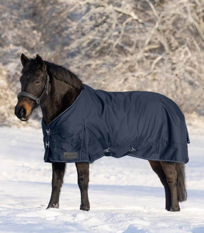 Waldhausen Outdoordecke 300g Nordic Weidedecke, Navy, Pferd im Schnee mit Decke.