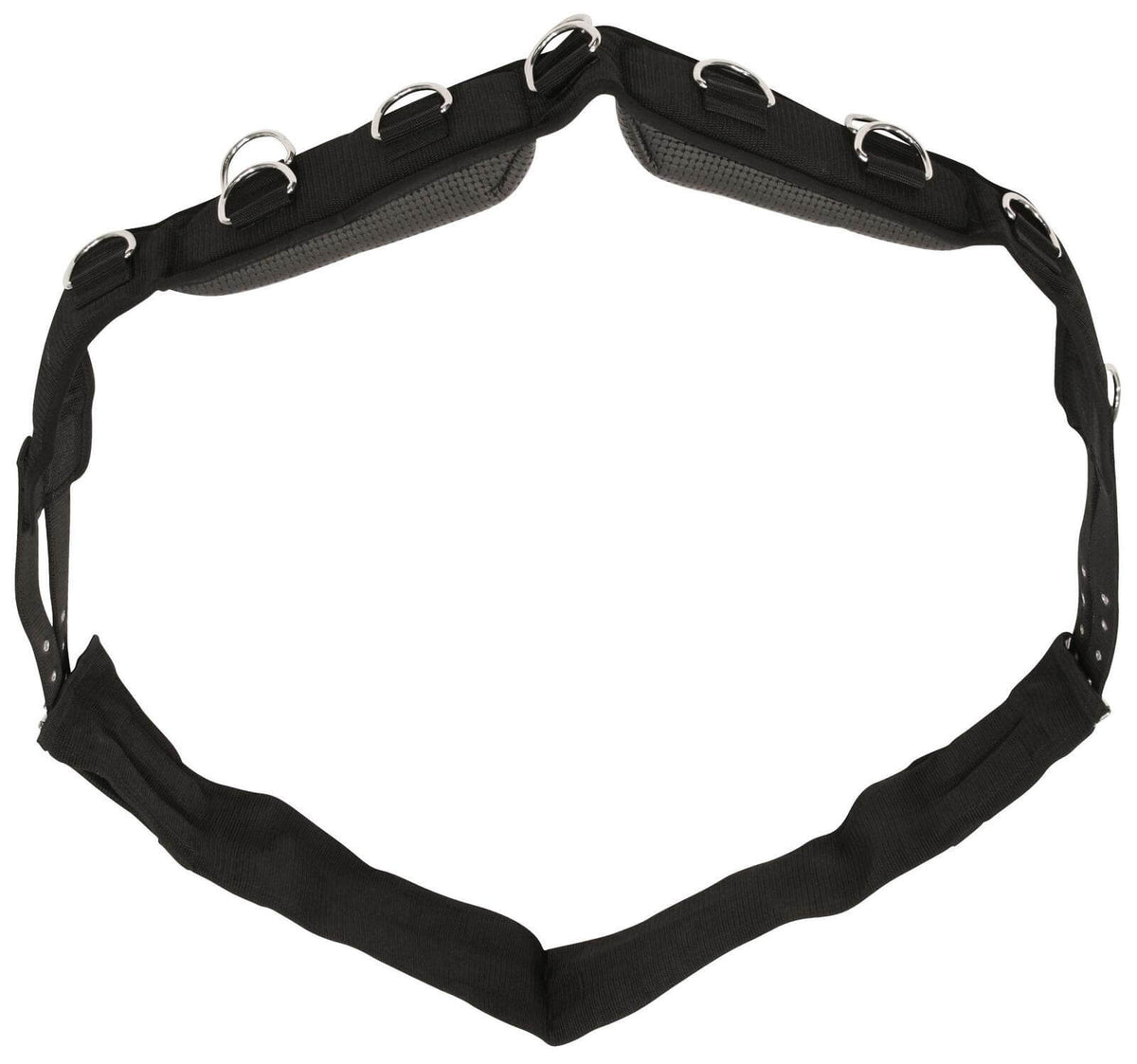Covalliero Longiergurt, Schwarz, Produkt allein auf weißem Hintergrund.