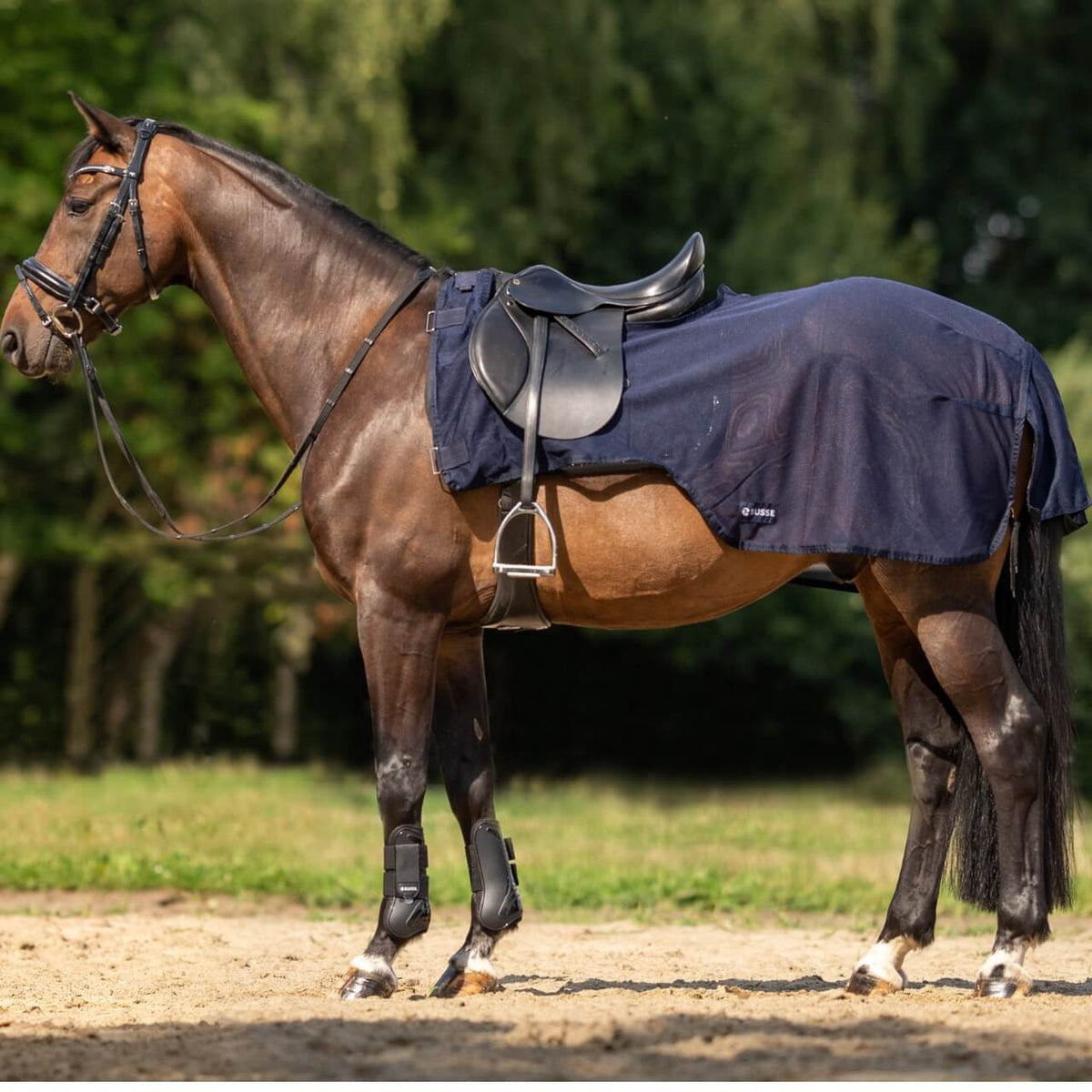 Ausreitdecke Flexi Fly III Fliegendecke