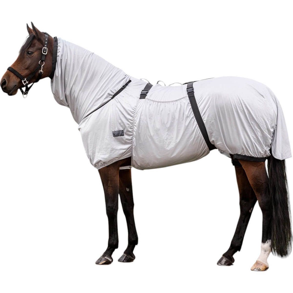 Ekzemerdecke Basic Pferdedecke