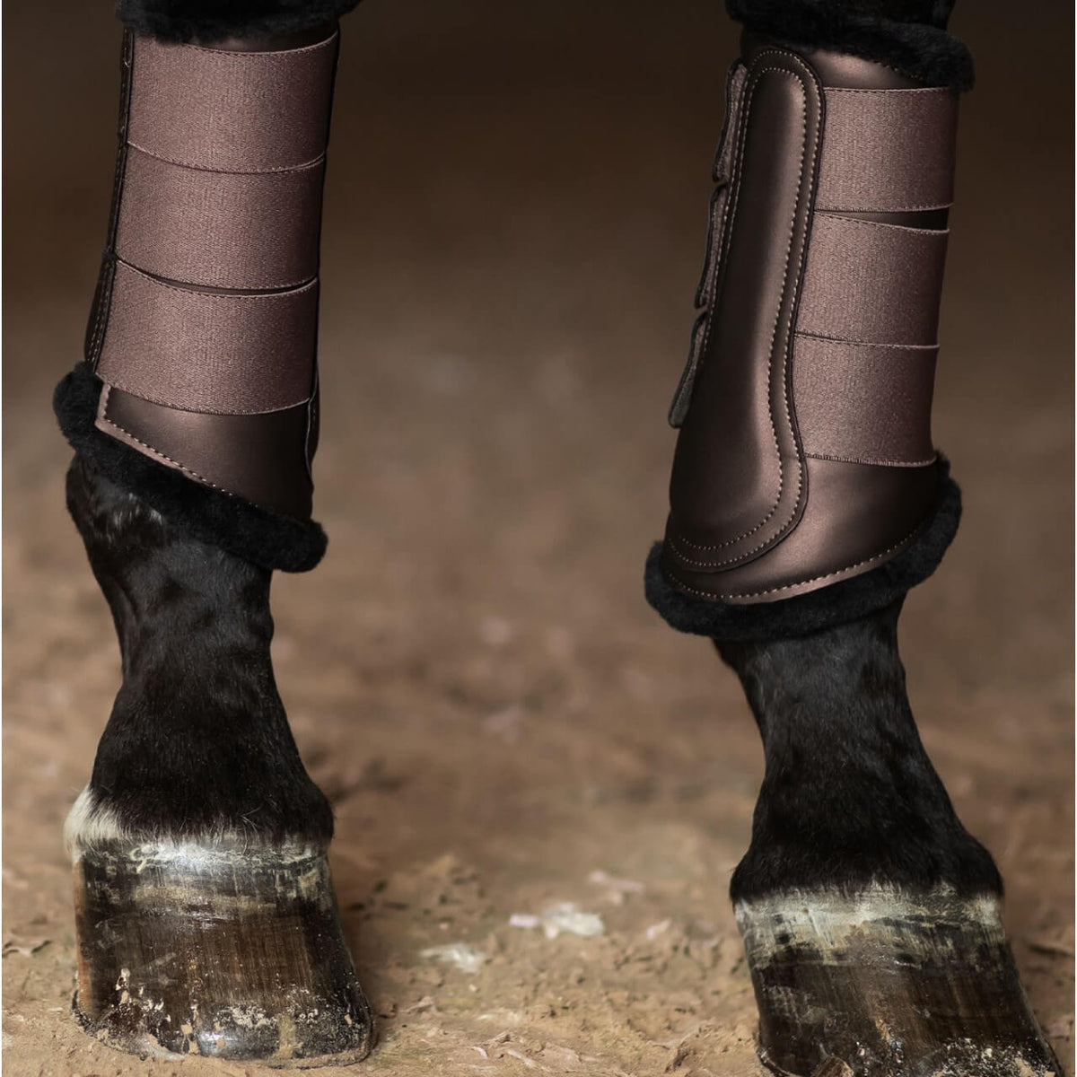 Equestrian Stockholm Gamaschen Dressur Mocha Fellgamaschen, Mocha, am Pferd getragen.