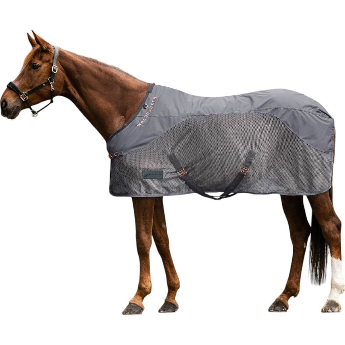 Waldhausen Fliegendecke COMFORT Regendecke, Grau, Pferd trägt die Decke.