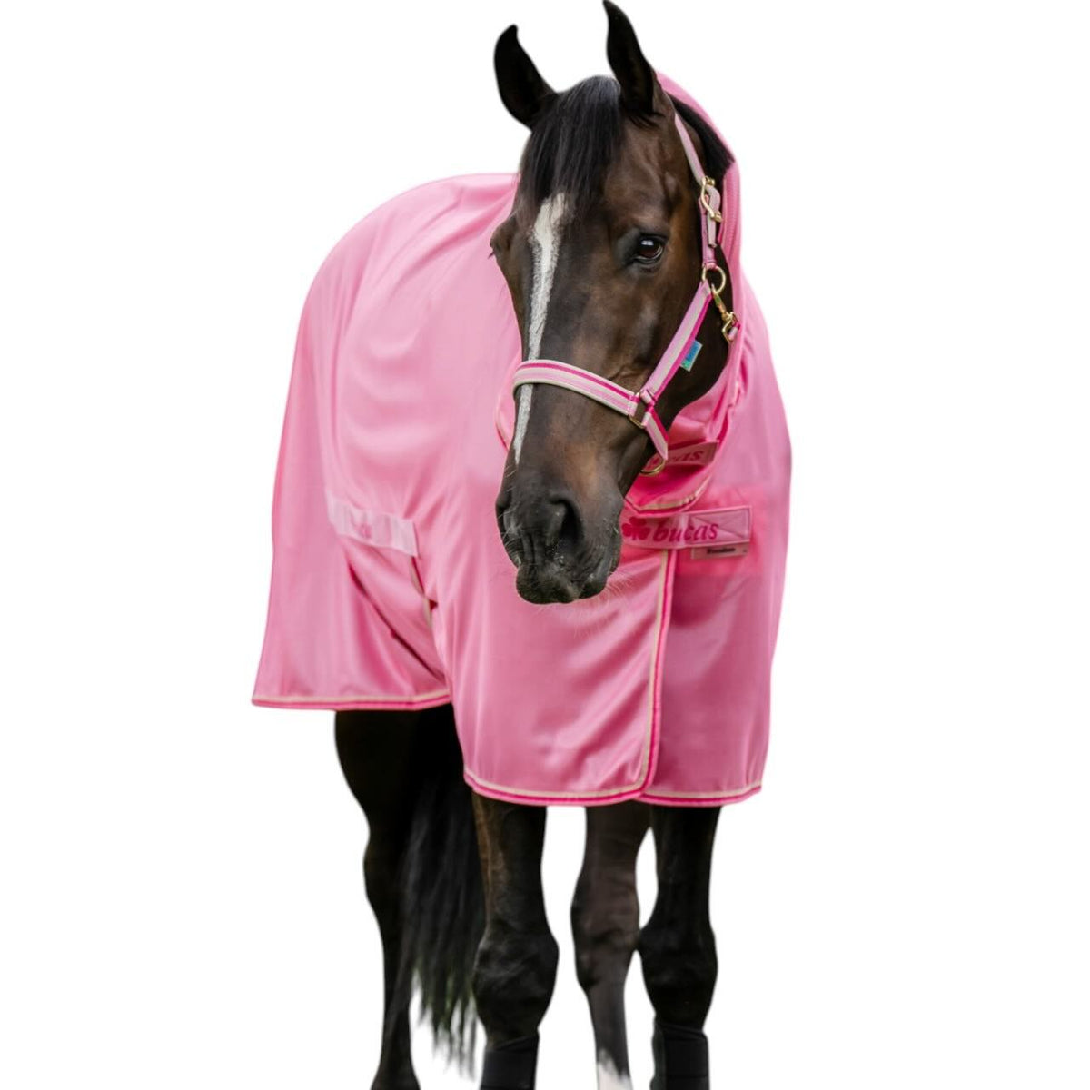 Fliegendecke Freedom Fly Sheet Full Neck Insektenschutzdecke