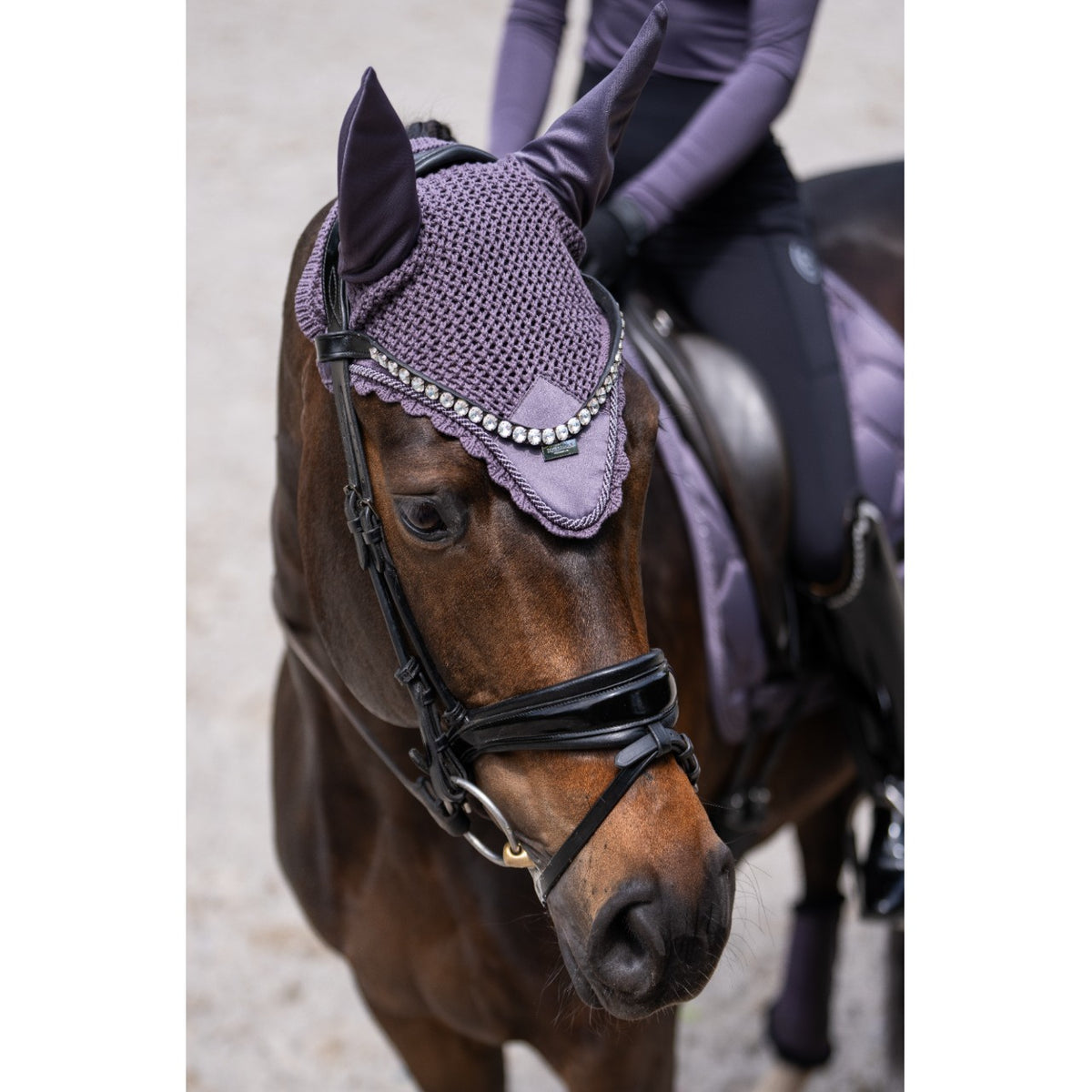 Fliegenhaube Dark Violet Fliegenmütze