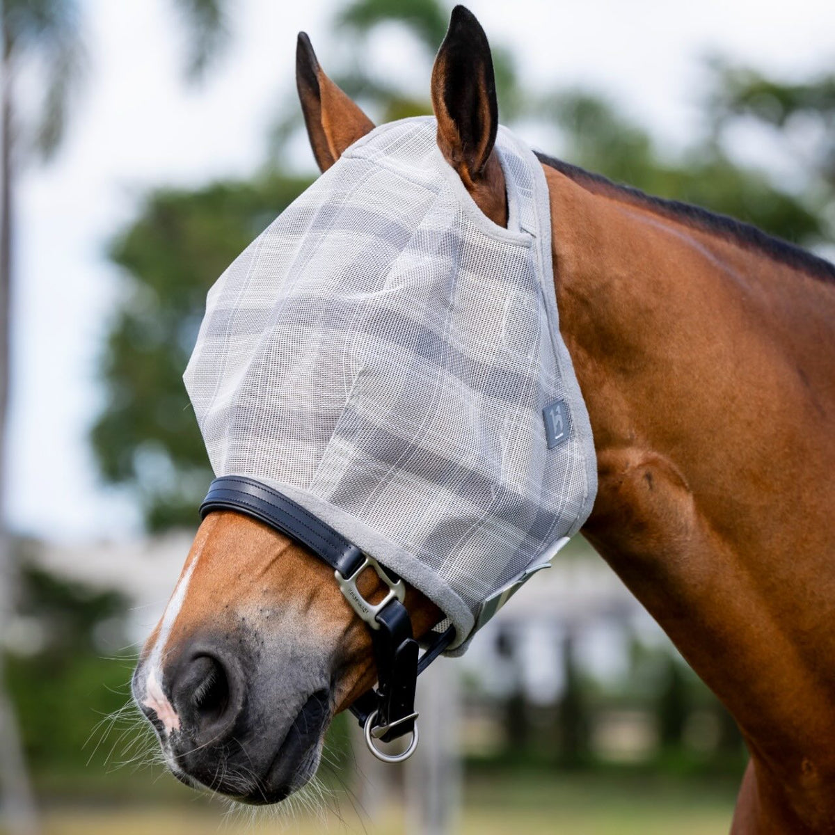Fliegenmaske Newmarket No Ears Fly Mask