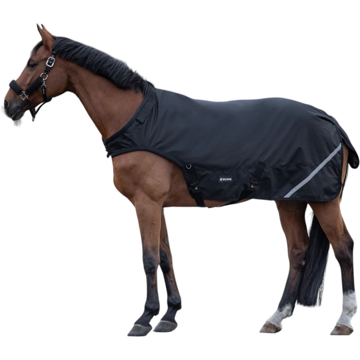 Busse Führanlagendecke Rain 50g Decke, Schwarz, Pferd trägt die Decke.