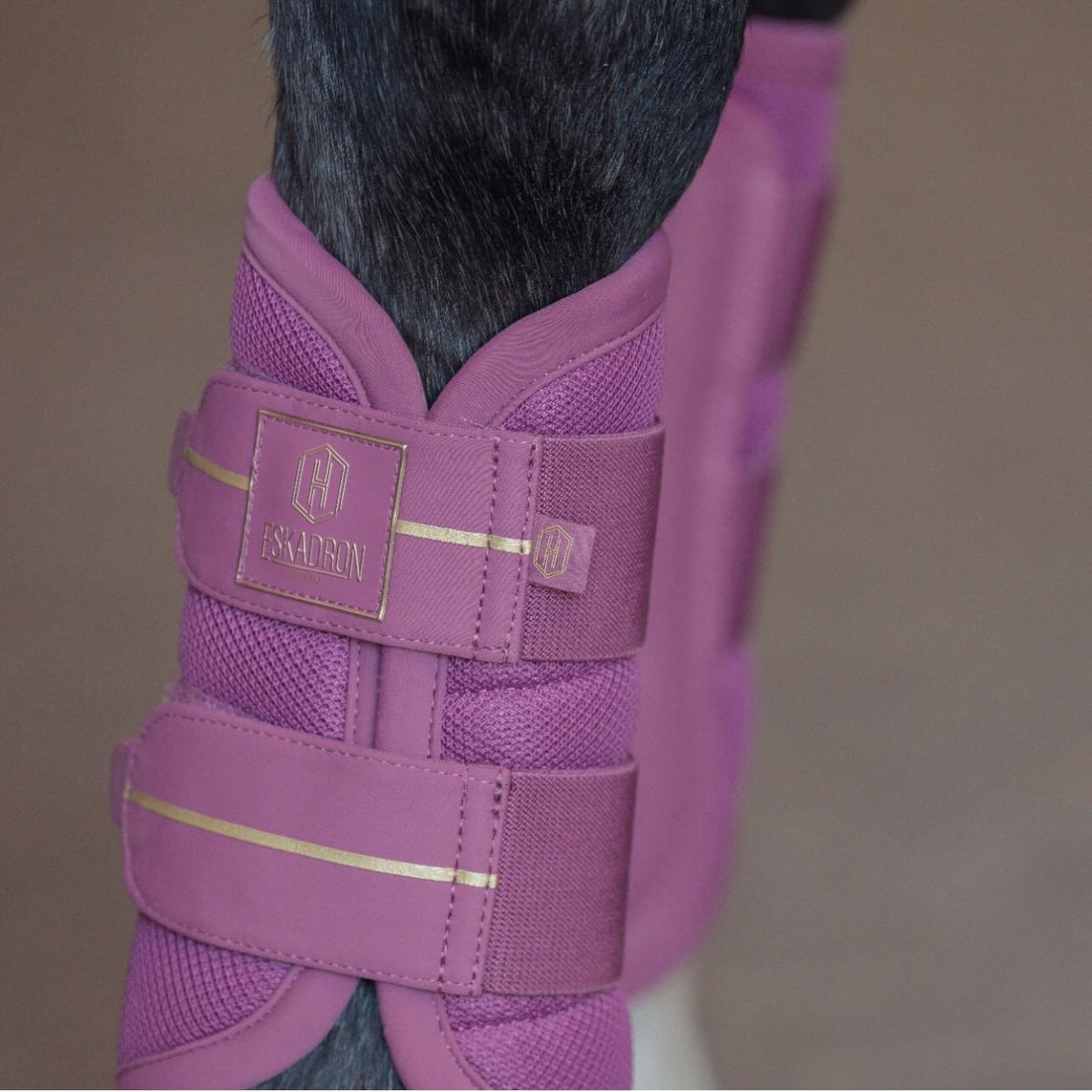 Eskadron Gamaschen Mesh Heritage 2025 Arbeitsgamaschen, Pink, Detailaufnahme am Pferdebein.