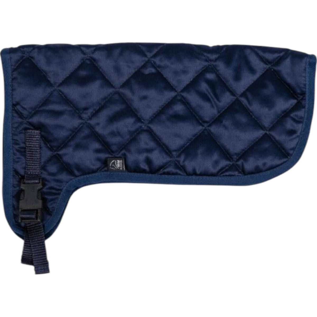 Decke Hobby Horsing