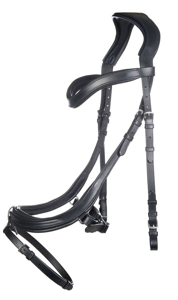 Cabezada Anatomic combinada con rienda, brida