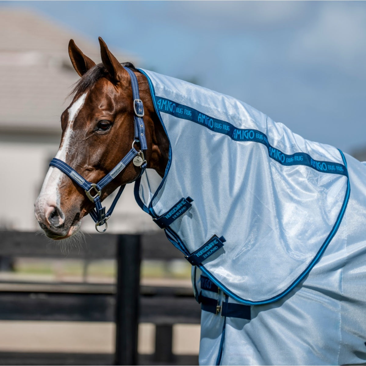 Horseware Ireland Halsteil Fliegendecke Amigo Bug Rug, hellblau, am Pferd getragen.