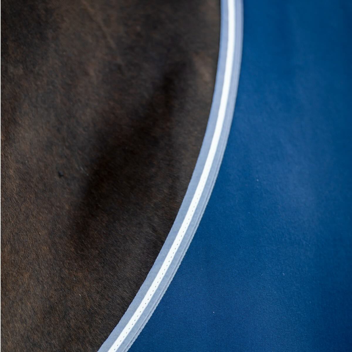 Horseware Ireland Abschwitzdecke Amigo Jersey Cooler, Midsummer Blue, Detailaufnahme am Pferd.