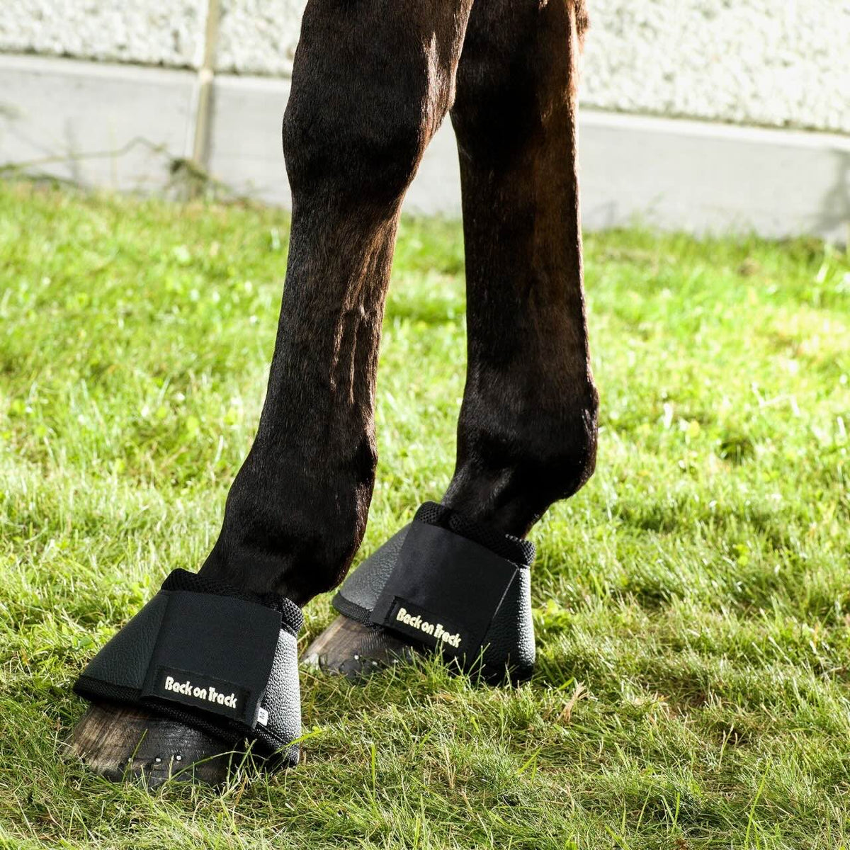 Hufglocken Sprungglocken
