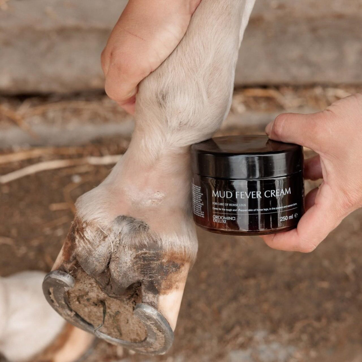 Grooming Deluxe Maukecreme GD Plus Creme, 250 ml, Pferdebein mit Cremeauftrag.