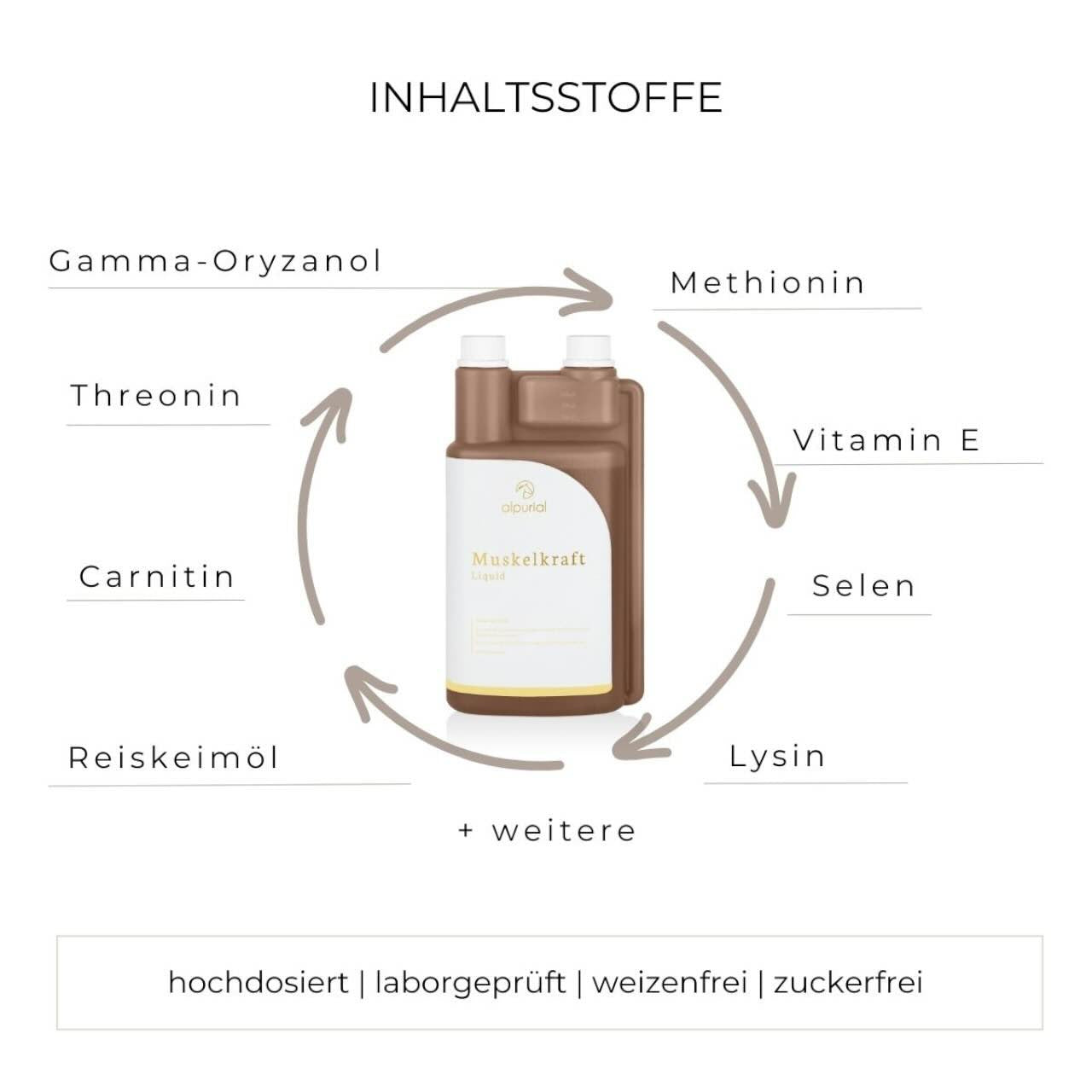 Muskelkraft Zusatzfutter Ergänzungsfuttermittel