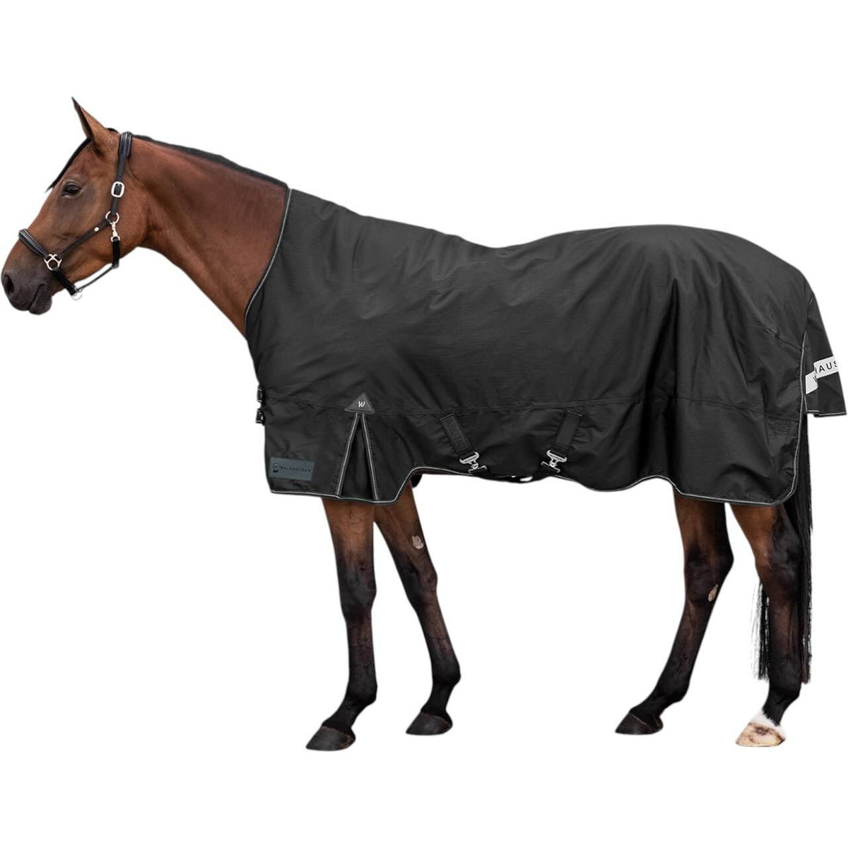 Outdoordecke 200g Arctic High Neck Weidedecke, Schwarz, am Pferd getragen.