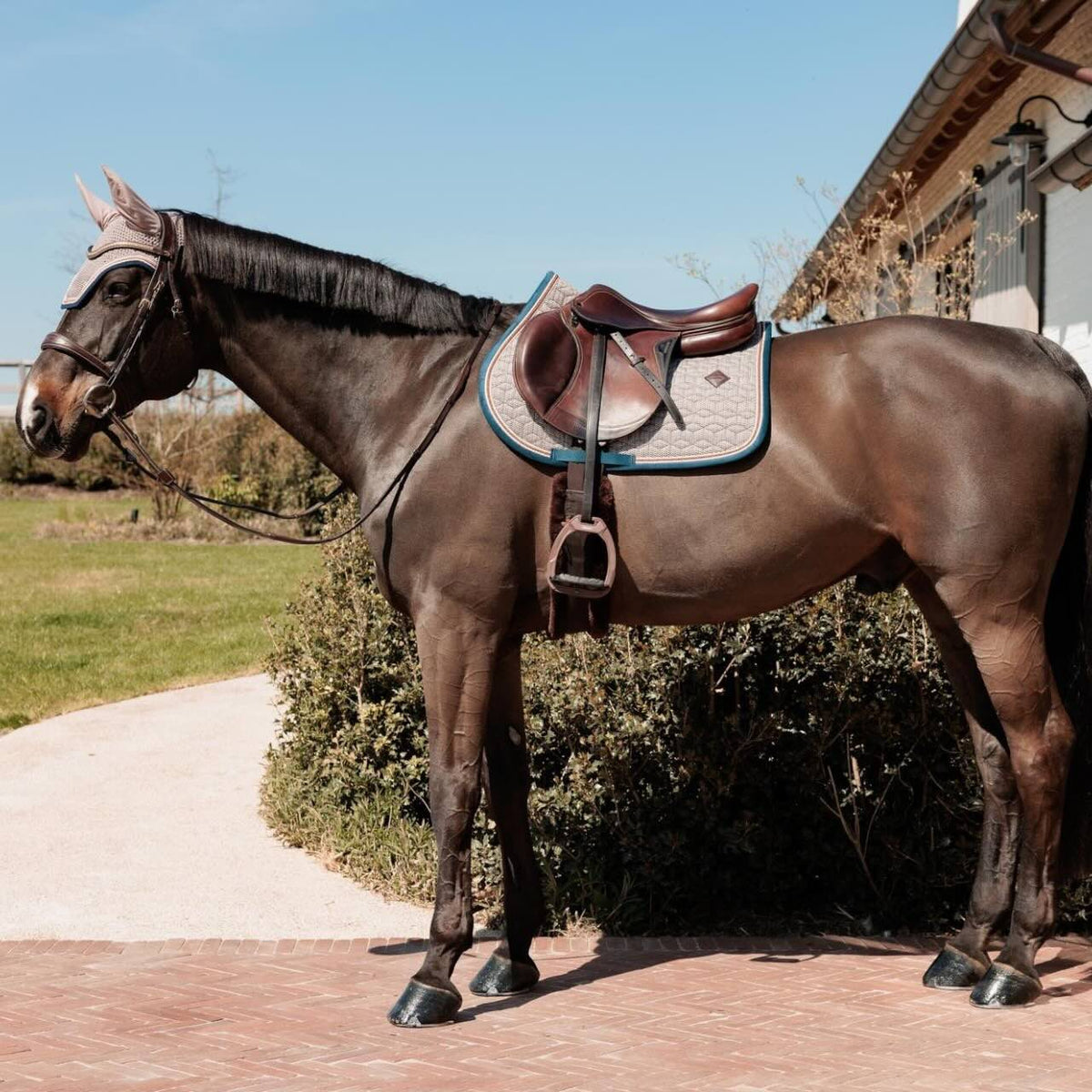 Kentucky Horsewear Springschabracke Pied de Poule 2.0 Schabracke, mehrere Farbvarianten, Pferd mit Sattel.