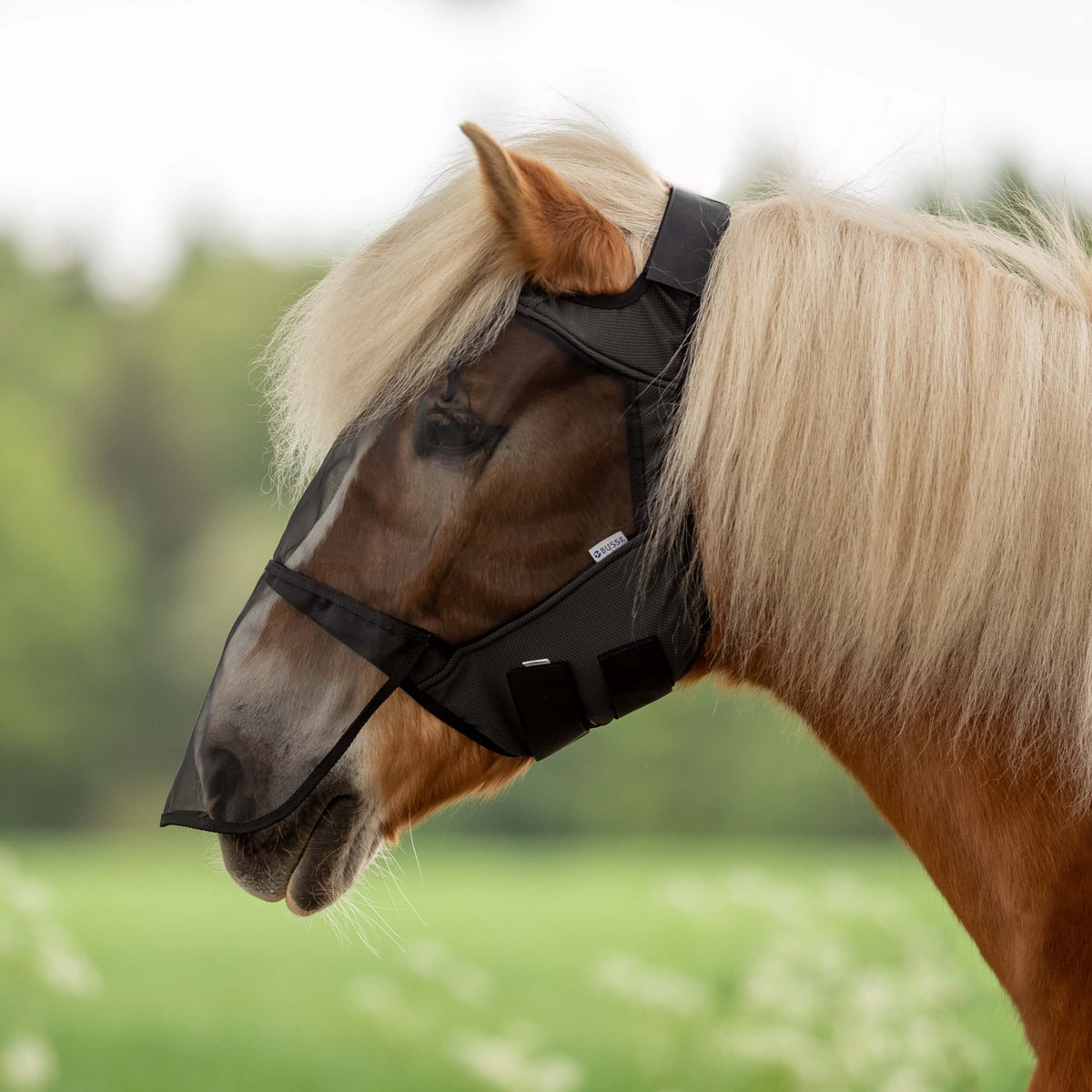 Fliegenmaske Fly Guard Free Plus Fliegenhaube Insektenschutz