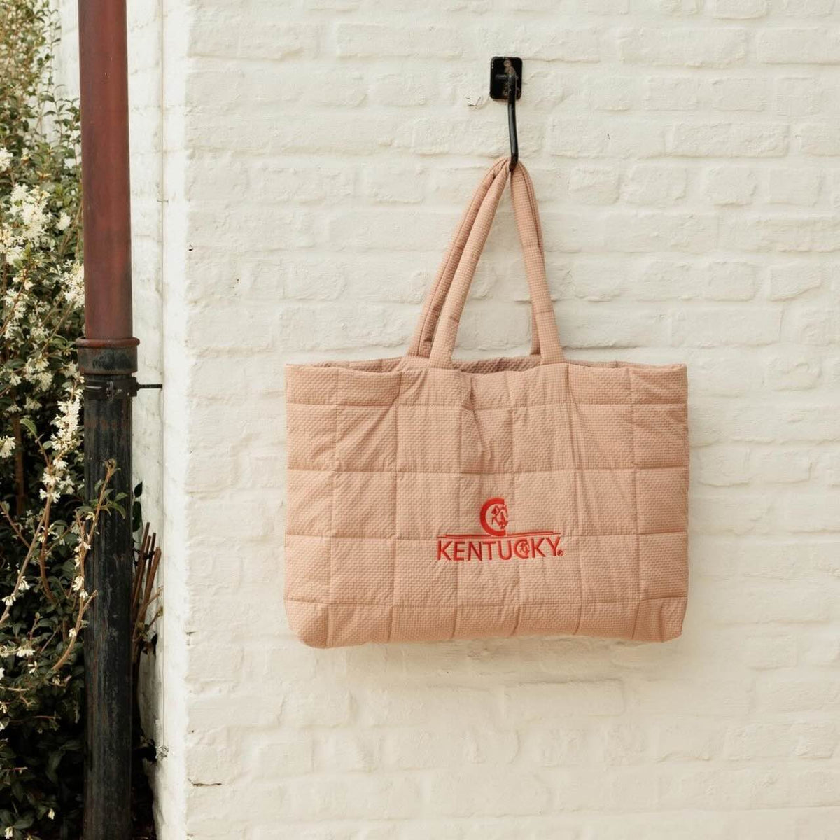 Kentucky Tragetasche Gepolstert Kentucky Logo Tasche, Rosa, Produkt allein an der Wand aufgehängt.