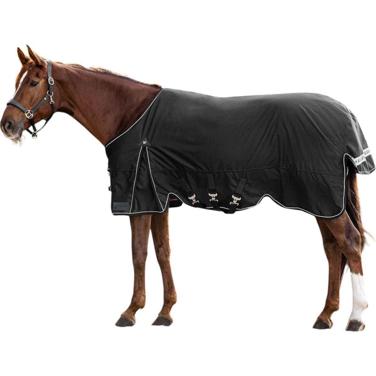Waldhausen Outdoordecke 200g Scandic Weidedecke, Schwarz, Pferd trägt die Decke.