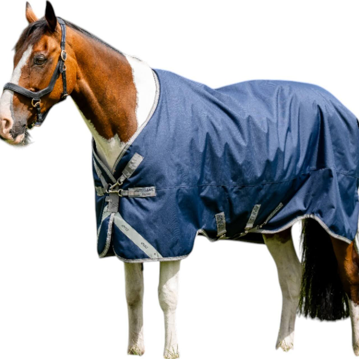 Weidedecke Amigo 0g 1200D Turnout Decke, Navy/Titanium Grey & Silver, Pferd trägt die Decke.