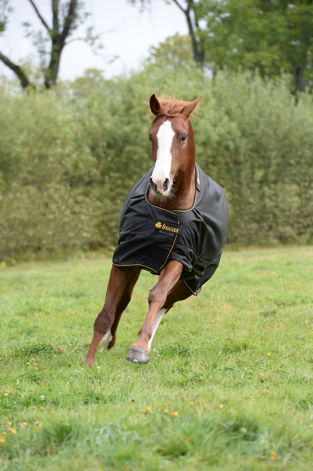 Outdoordecke 300g Irish Turnout