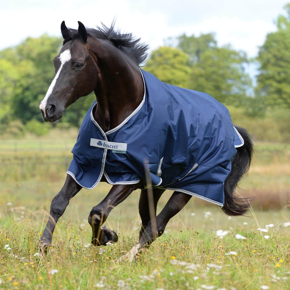 Bucas Outdoordecke 0g Freedom Turnout Light Regendecke, Navy, Pferd auf der Weide.